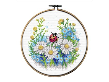 OR7979 Beruška (včetně bubínku)