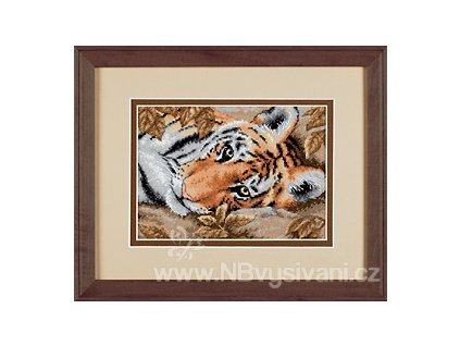 65056 Beguiling Tiger - Okouzlující tygr