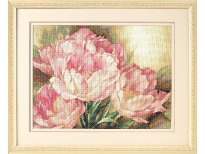 35175 Tulip Trio - Trio tulipánů