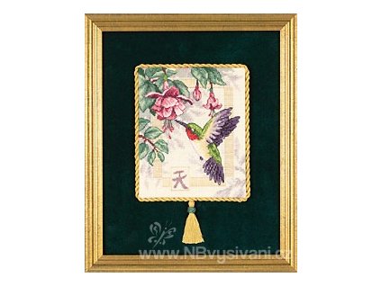 35059 Exquisite Hummingbird - Nádherný kolibřík