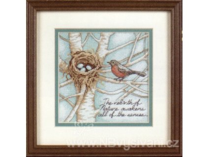 65076 Robin´s nest - Hnízdo červenky