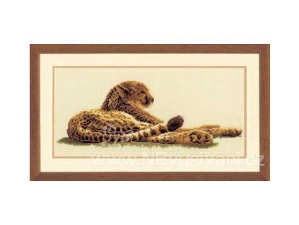 BF-VE2002-75.021 Gepard