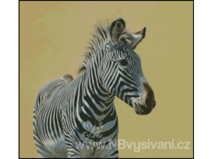 Z is for Zebra (předloha)