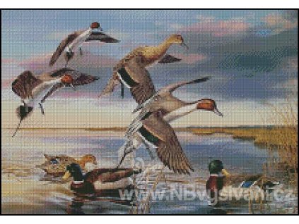 There Goes the Neighborhood (předloha)