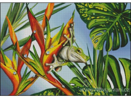 Who Goes There? (Aida 18ct)