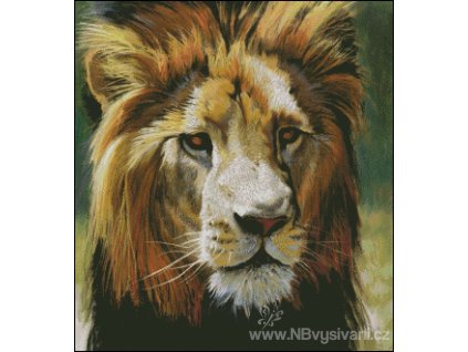 King of the Pride (předloha)