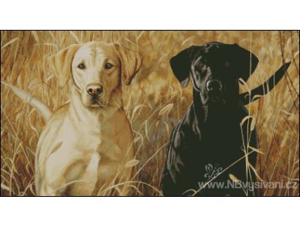 Double Flush (Aida 18ct)