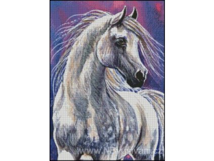 Wild Spirit (Aida 18ct)