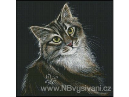 Charmer (předloha)