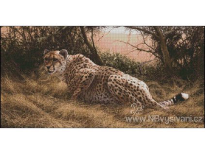 Scent of Lions (Aida 18ct)
