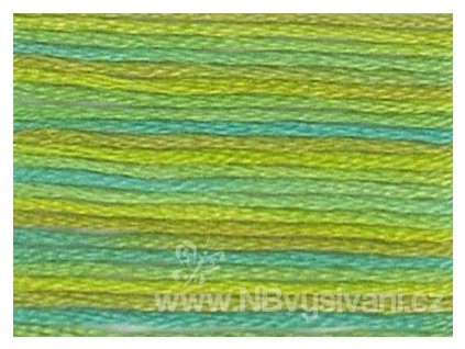 DMC4050 Mouliné Color Variation - Roaming Pastures (8m)