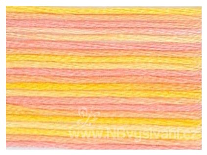 DMC4100 Mouliné Color Variation - Summer Breeze (8m)