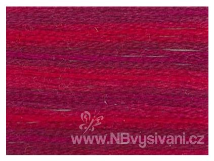 DMC4210 Mouliné Color Variation - Radiant Ruby (8m)
