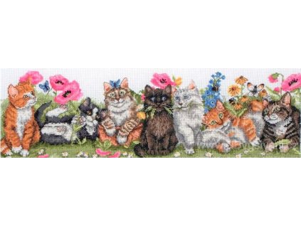 A-PCE729 Hravé kočky (doprodej)