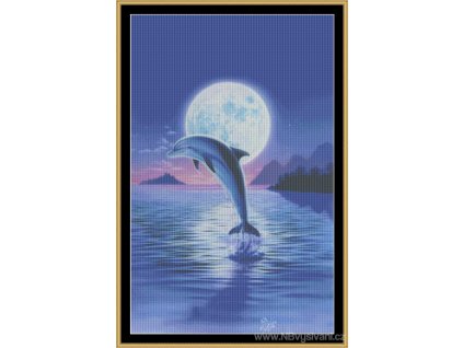 MS-MGL24 Day Of The Dolphin (Aida 18ct)