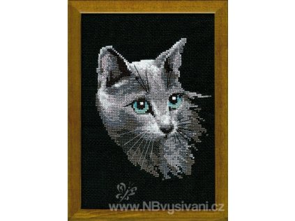 RIO-764 Siamská kočka