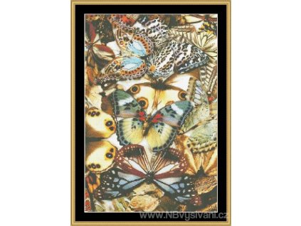 MS-BUTC05 Butterfly Collage (Aida 18ct)