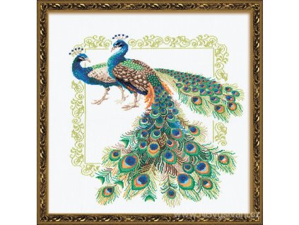 RIO-767 Dvojice pávů