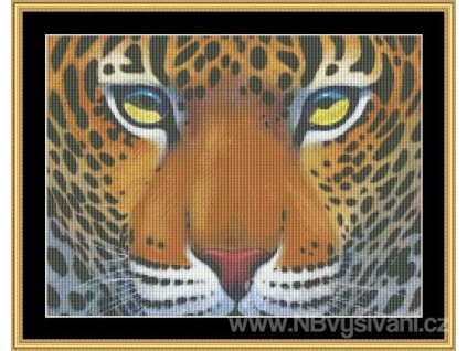 MS-CLB05 Leopard (Aida 18ct)