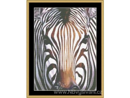 MS-CLB11 Zebra (Aida 18ct)