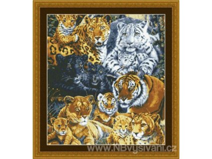 H-09-2679 Big Cat Pride (předloha)