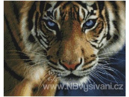 H-07-2318 Blue Eyes (předloha)
