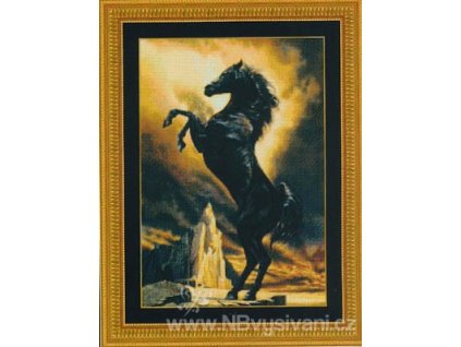 H-08-2691 Black Stallion (předloha)