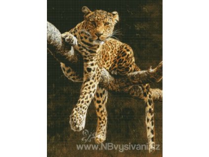H-05-2093 Hypnotic Leopard (předloha)