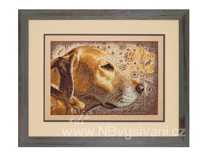 70-35273 Yellow Lab - Labrador