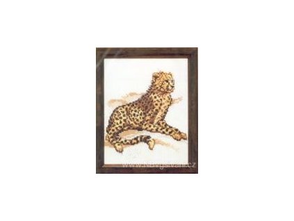 PA210.894 Leopard
