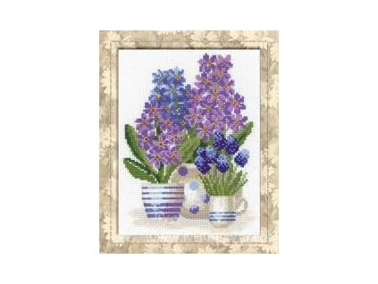 RIO-1117 Hyacinty