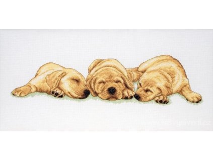 A-PCE726 Spící labradoři (doprodej)