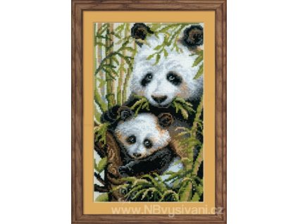 RIO-1159 Pandy