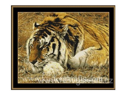 H-09-1552 Raja - the Siberian Tiger (předloha)