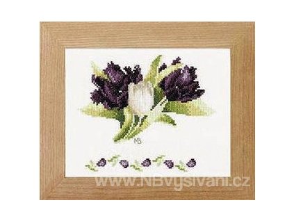 ART-L-PN0008055 (34940) Bílé a černé tulipány (doprodej)