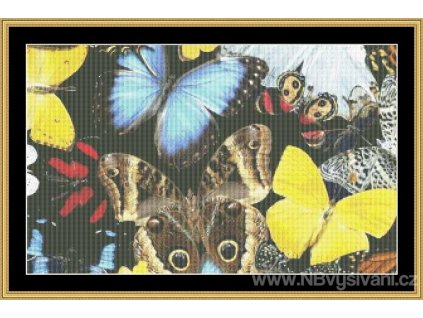 MS-BUTC60 Butterfly Passion (předloha)