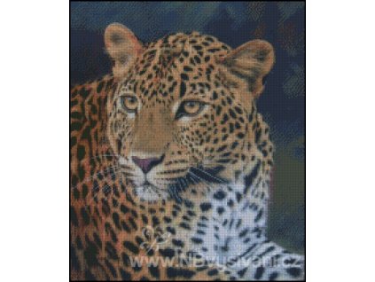 Leopard Stare (Aida 18ct)