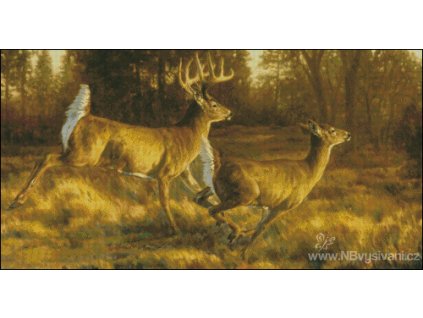 Open Field (Aida 18ct)