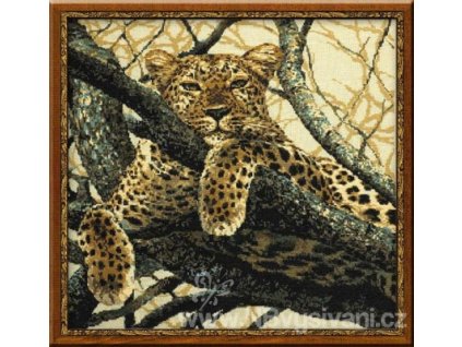 RIO-937 Leopard