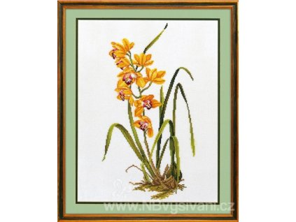 ROS14-156 Žlutá orchidea