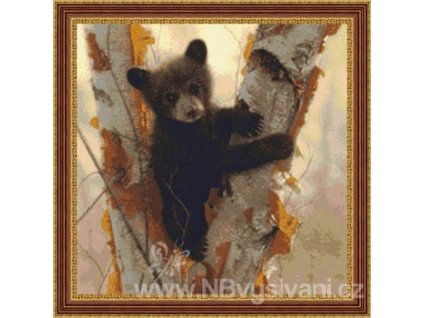 H-10-1641 Curious Cub (předloha)