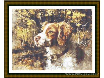 CCS-390adog01 Britany Spaniel (předloha)