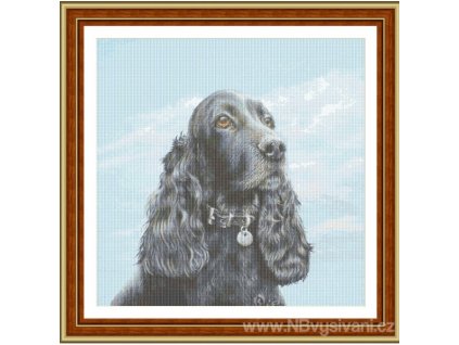 CCS-394adog08 Cocker Spaniel (předloha)