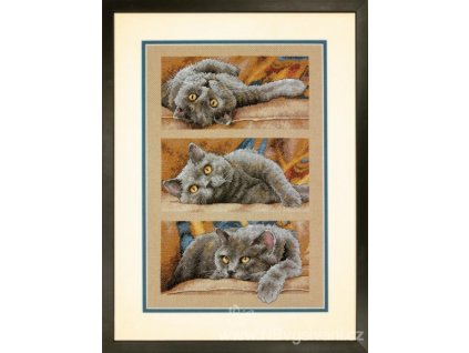 70-35301 Max the Cat - Max