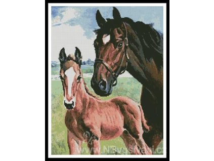 53897 ic1161 10054 mare and foal predloha