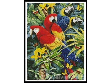 IC6202-10937 Tropical Macaws (Aida 18ct)