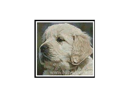 IC5372-10788 Mini Golden Retriever Puppy (Aida 18ct)