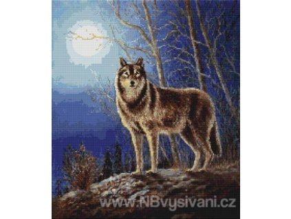 IC7489-(013-040) Wolf in Moonlight (Aida 14ct)