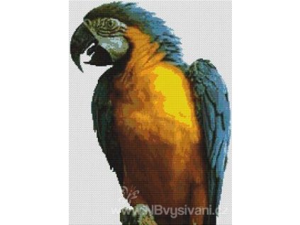 IC8874-(000-014) Blue Macaw (předloha)
