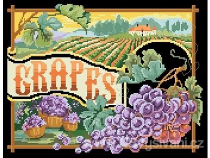 IC9638-1635 Grapes (předloha)